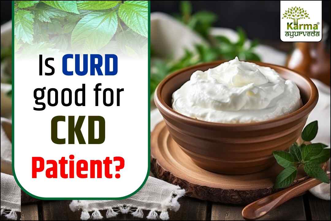 Is Curd Good for CKD Patients? Let’s Break It Down!